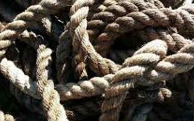 Te vaak incidenten met verwarde mensen, Onderzoeksraad voor Veiligheid start opvolgonderzoek