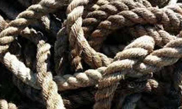 AD: Meeste meldingen over verwarde personen in Den Haag