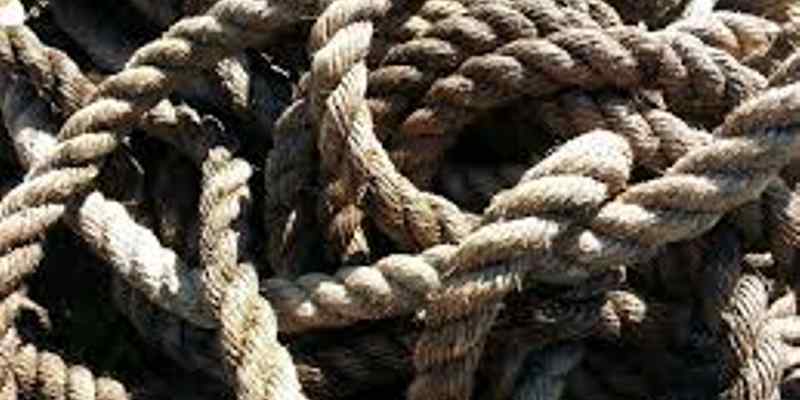 Te vaak incidenten met verwarde mensen, Onderzoeksraad voor Veiligheid start opvolgonderzoek