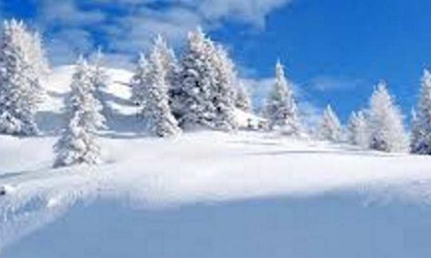 Finland lijkt een paradijs voor daklozen, maar is het dat ook?