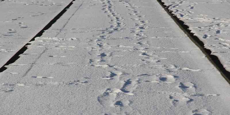 Volkskrant: “Veldwerkers nemen poolshoogte in het koude Rotterdam. Bekommert de politiek zich wel om de allerarmsten?”
