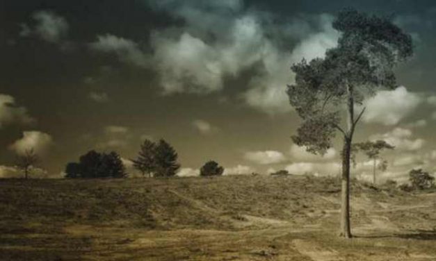 NRC: Dorine (18) staat er alleen voor