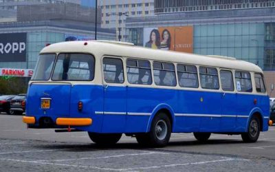 Zwerf-Polen dagelijks met busjes naar thuisland gebracht