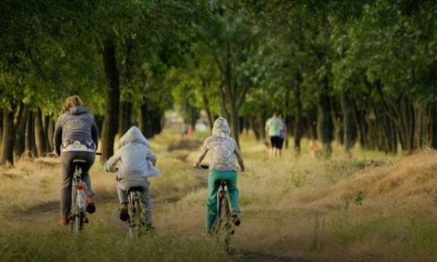 Jeugdbescherming: ‘Te weinig crisisplekken in de zomer’