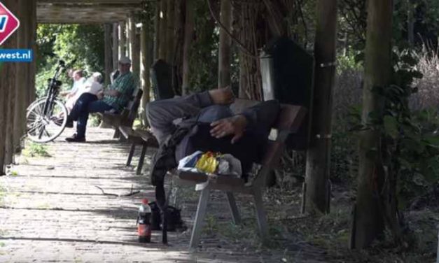 ‘Ze doen hun behoefte in de bosjes’; omwonenden zijn overlast daklozen in Haags park zat