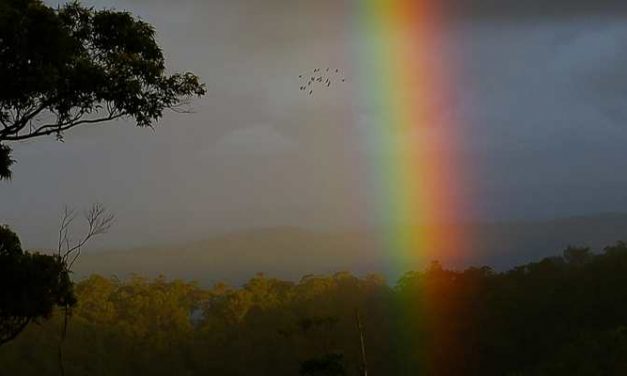 Den Haag moet op zoek naar extra geld voor jeugdzorg