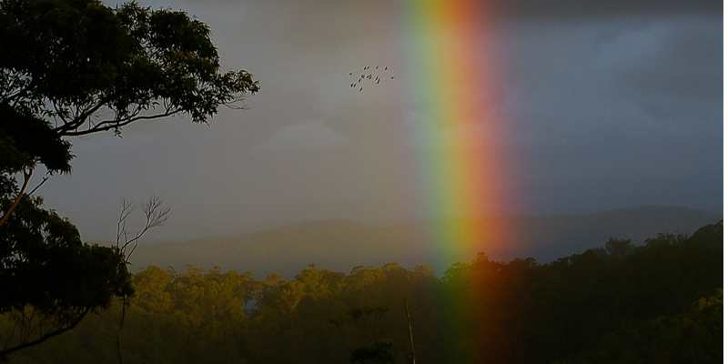 Den Haag moet op zoek naar extra geld voor jeugdzorg