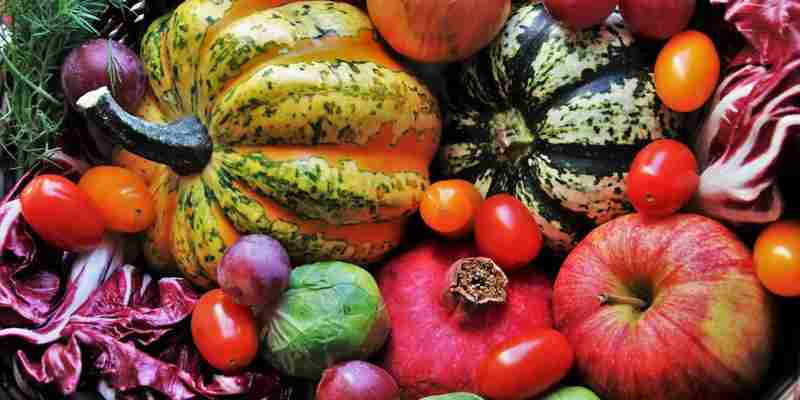 Grote groep Hagenaars heeft niet genoeg geld voor eten