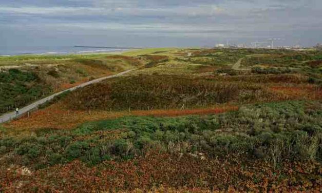 De politie zoekt met drones naar daklozen in Haagse duinen
