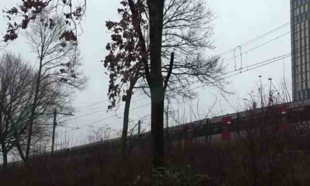 10 april 2019 Brussel: conferentie met 150 delegaties over een transitie van grote gevangenissen