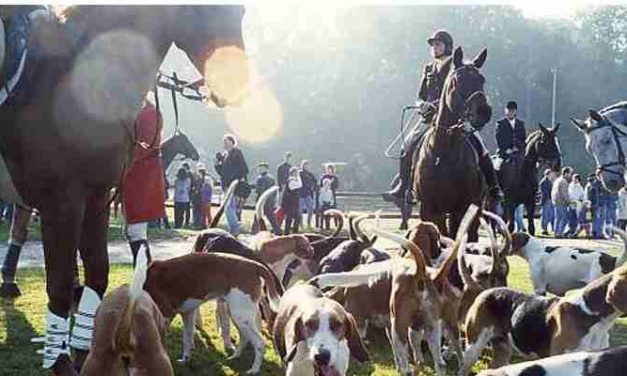 Politie zet ‘de jacht’ op duinslapers al vroeg in