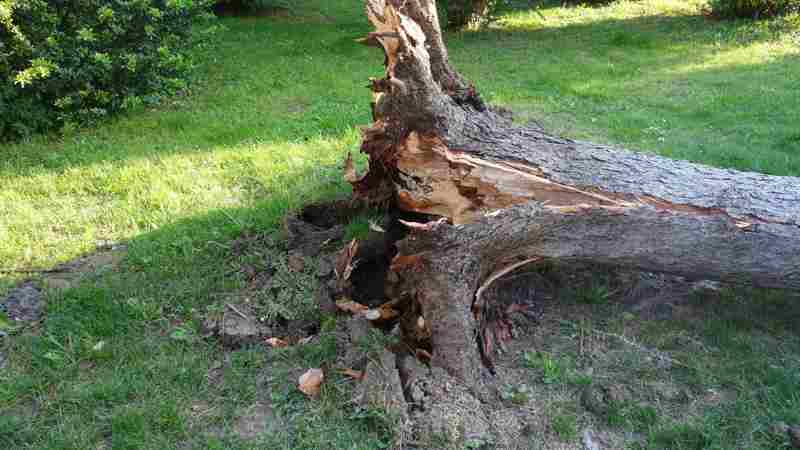 Onderzoek Schuldenaars onder schrikbewind ‘Ik ben financieel gehandicapt gemaakt’