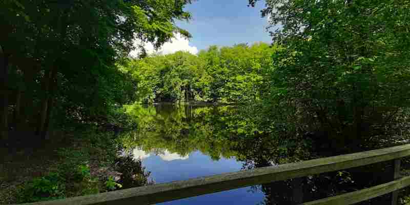 Boswachter Hans is ook hulpverlener voor daklozen in Haagse parken: Zolang er hoop is, is er leven