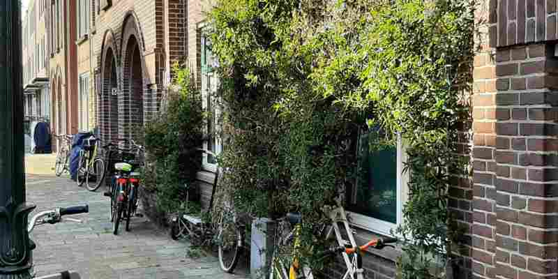 Niet iedereen is zo zelfredzaam als de overheid meent