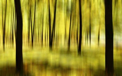 Bestaanszekerheid vraagt politieke moed en concrete keuzes