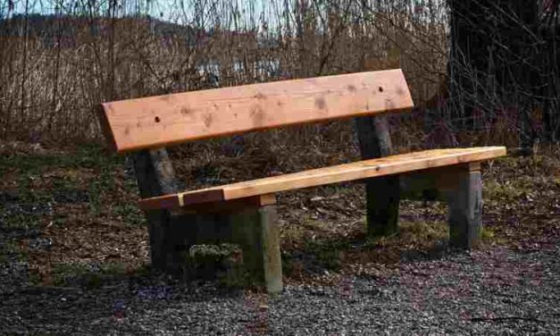 Daklozen in Leiden massaal beboet, maar niet lang meer