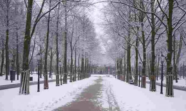 College zegt 32 extra winteropvangplekken toe