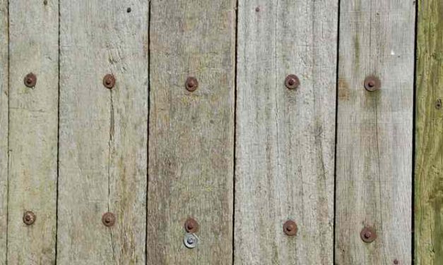 Haagse daklozen ‘over de schutting gegooid’