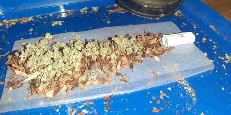 Trimbos-instituut: cannabisgebruikers blowen in coronatijd meer, uit verveling