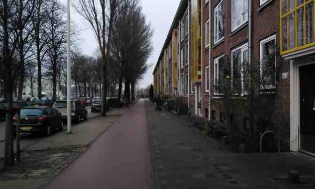 Voorrangsverklaring bij sociale huur in Den Haag; zo regel je dat