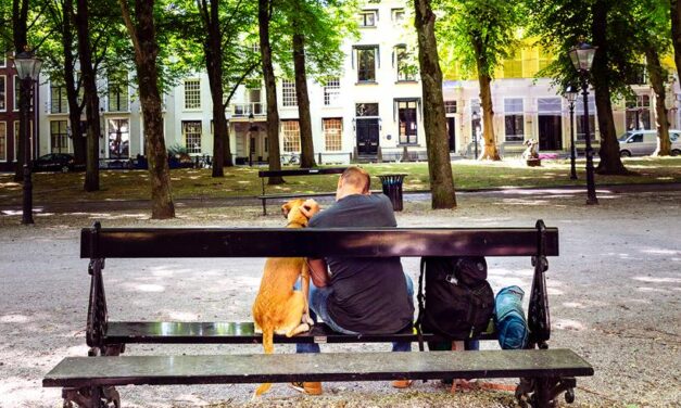 Programma ‘week van de eerlijke Beeldvorming’