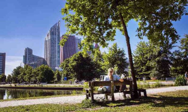 ‘Groep dakloze EU-migranten neemt toe en wordt opgejaagd door gemeente Den Haag’