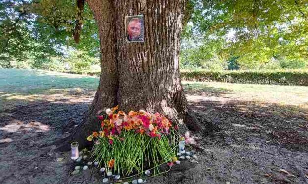 Dakloze arbeidsmigranten kunnen de boom in