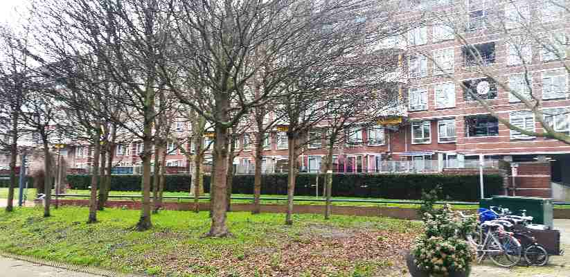 Impuls van 36 miljoen voor woningverbetering en armoedebestrijding in Den Haag Zuidwest