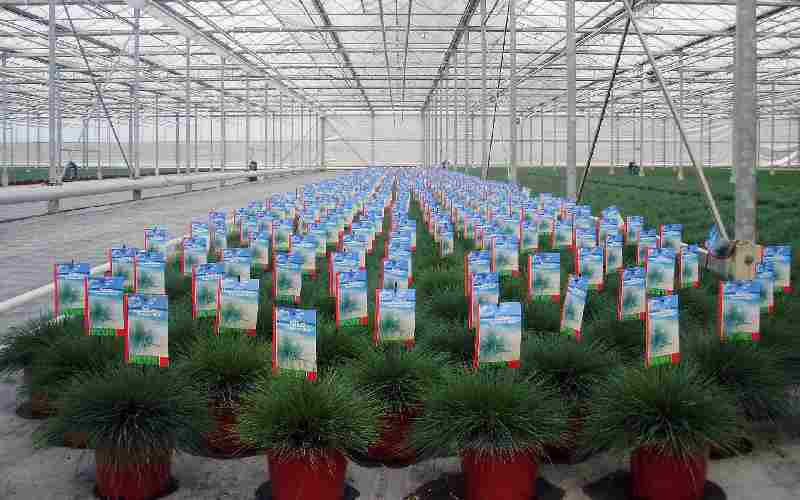 Westland legt bezwaren naast zich neer en zet arbeidsmigrantencomplex door