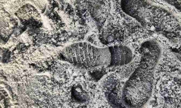 Zorgen om daklozen in kou ’s nachts: hoeveel kan het lichaam aan?