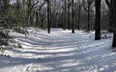 Opvang voor dakloze mensen vangt winterse klappen op met noodoplossingen