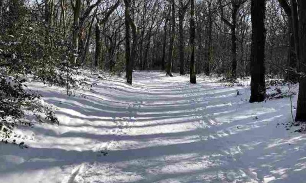 Opvang voor dakloze mensen vangt winterse klappen op met noodoplossingen
