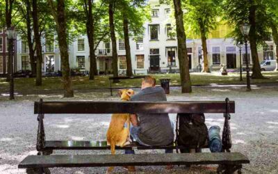 Van schatting naar oplossing: De noodzaak van precieze dakloosheids-tellingen