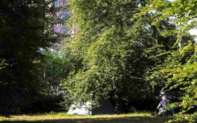 De staat kijkt niet om naar ongedocumenteerde mensen – tenzij ze een misstap begaan