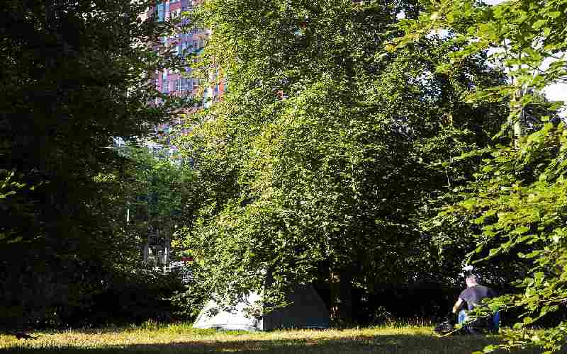 De staat kijkt niet om naar ongedocumenteerde mensen – tenzij ze een misstap begaan