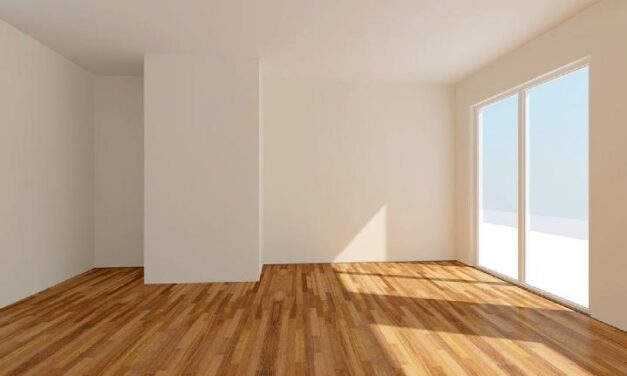 ‘Geef jongeren de mogelijkheid om eigen huisbaas te zijn met jongerencoöperatie’