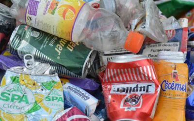 Solomon mag in Nederland geen bestaan opbouwen, maar kan nergens anders naartoe