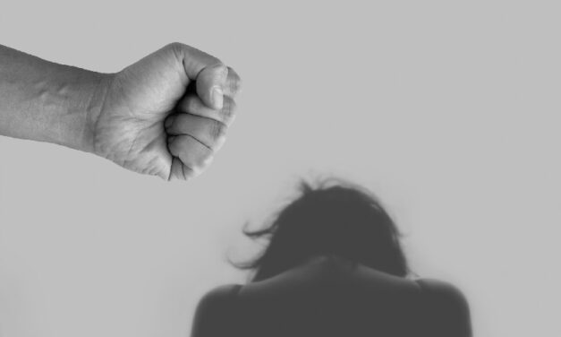 Keurmerk ‘Veiligheid in de Vrouwenopvang’ (2020)