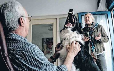 Dakloze Richard uit Den Haag was nog nooit in Enschede geweest. Toch kreeg hij er een huis