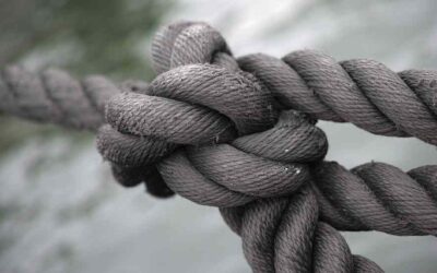 Verward gedrag veroorzaakt overlast en vraagt veel politie-inzet