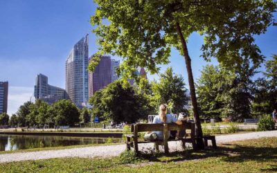 Betekenisvolle participatie: werk in uitvoering