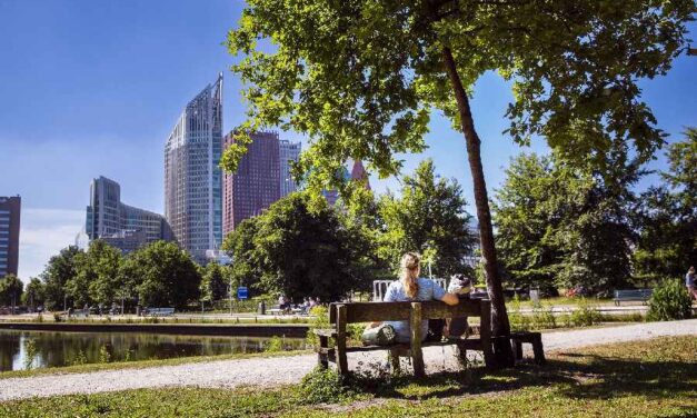 Betekenisvolle participatie: werk in uitvoering