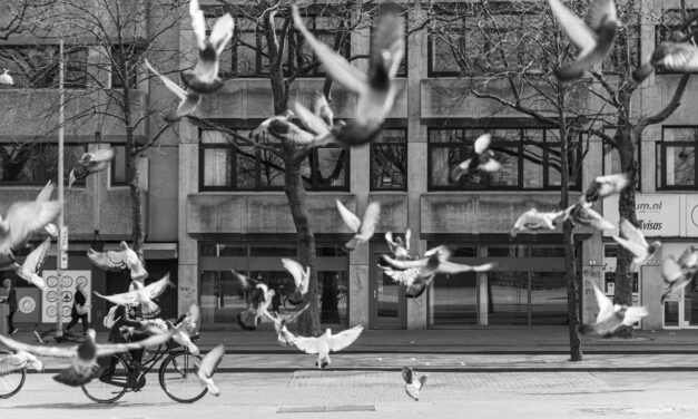 Samenwerkende bijdrage voor het Verkiezingsprogramma Tweede Kamerverkiezingen 2023