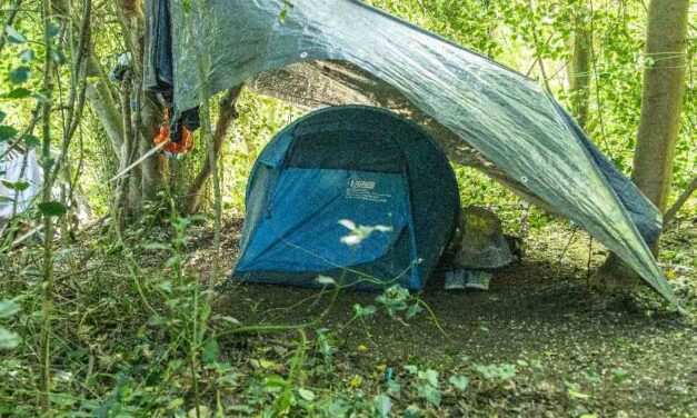 Meerdere grote steden willen ‘spreidingswet voor daklozen’