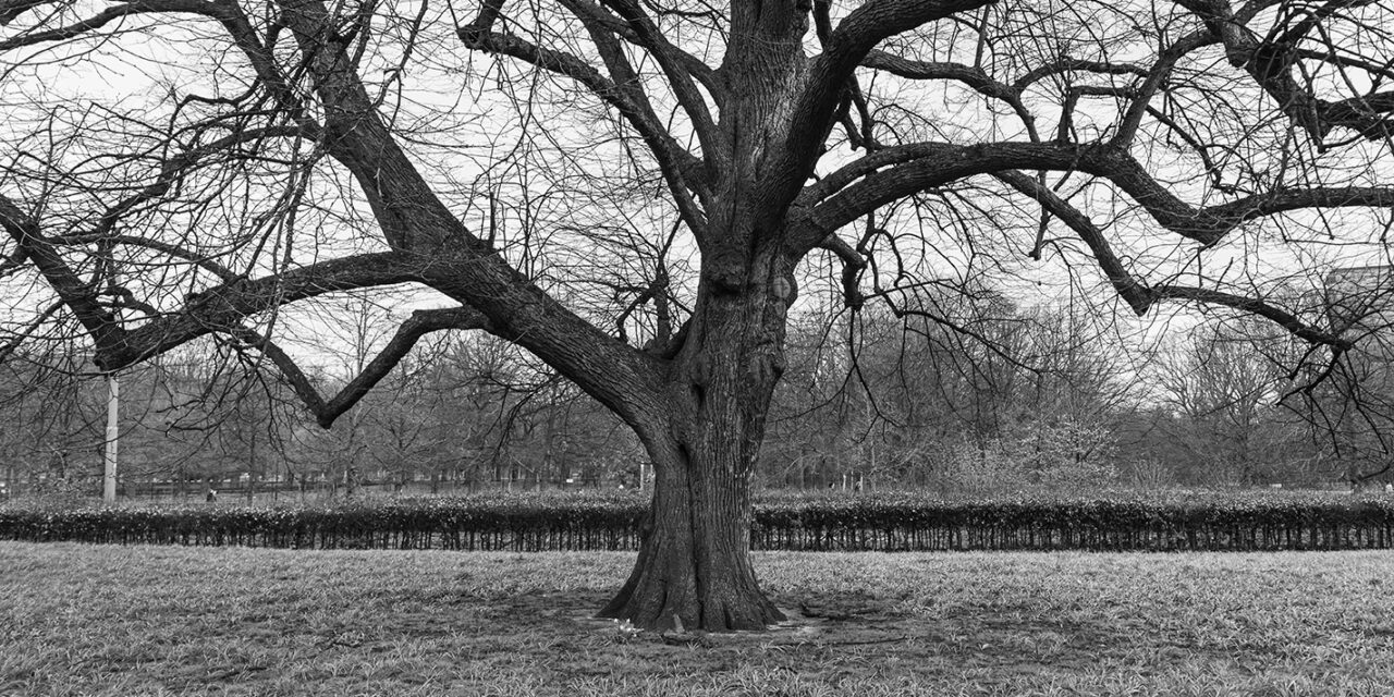 Reactie Valente Prinsjesdag 2023 over dakloosheid, beschermd wonen, maatschappelijke ondersteuning