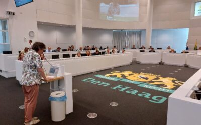Haagse gemeenteraad akkoord met hoopvol en ambitieus beleidskader dakloosheid