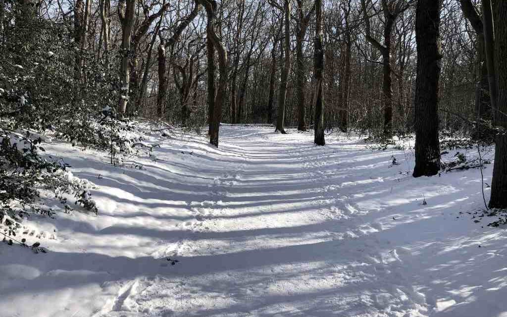 ‘Utrecht zakt door absolute humanitaire ondergrens’: zes daklozen ondanks vrieskou geweigerd bij opvang