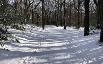 Doodvriezen mogen ze