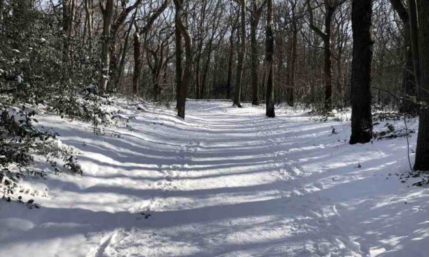 Doodvriezen mogen ze