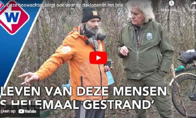 {Video} Deze boswachter zorgt ook voor de daklozen in het bos